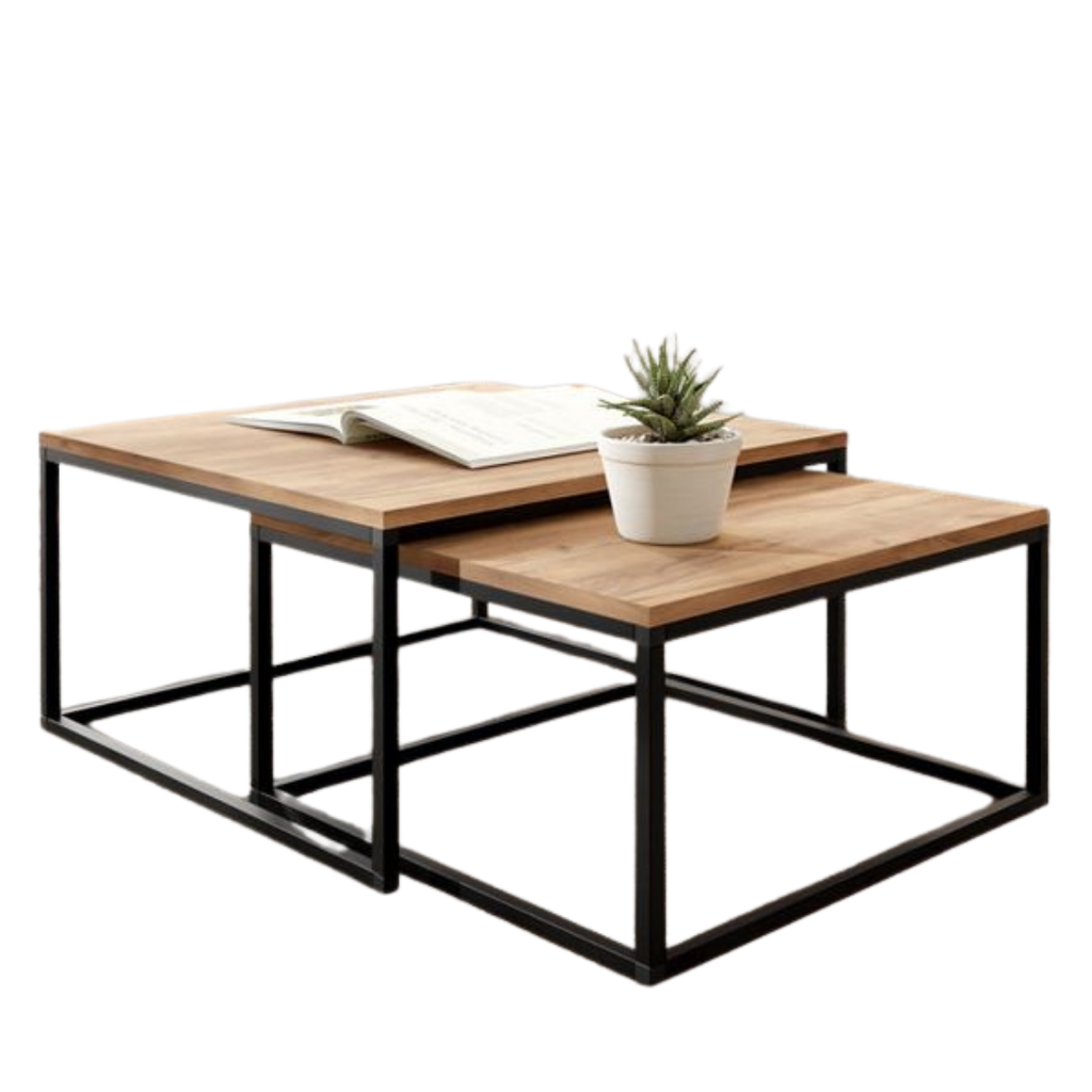 Mesa de Centro Raiz