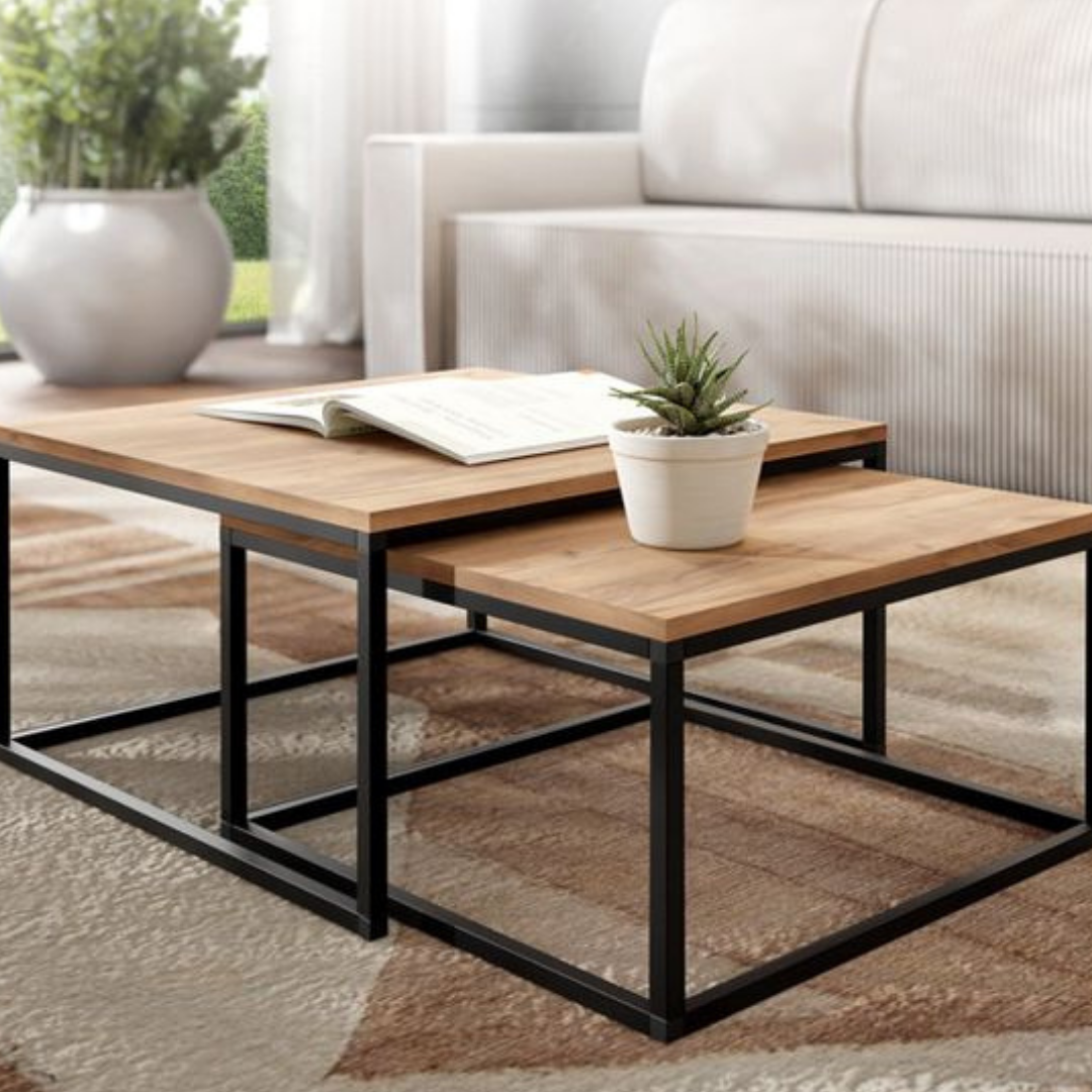 Mesa de Centro Raiz